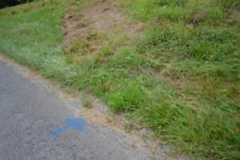 0 Pea Ridge Fire Tower Road Celina TN 38551