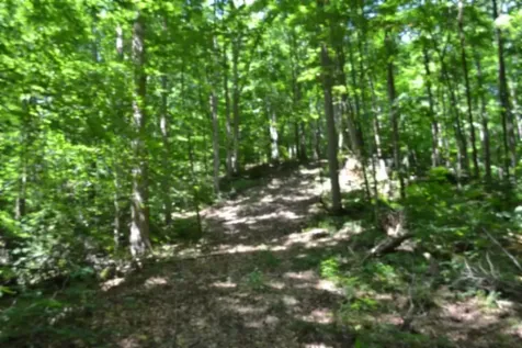 0 Pea Ridge Fire Tower Road Celina TN 38551