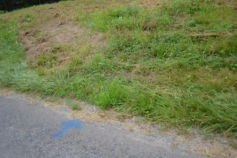 0 Pea Ridge Fire Tower Road Celina TN 38551