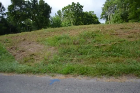 0 Pea Ridge Fire Tower Road Celina TN 38551