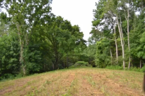 0 Pea Ridge Fire Tower Road Celina TN 38551