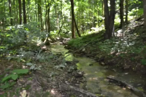 0 Pea Ridge Fire Tower Road Celina TN 38551