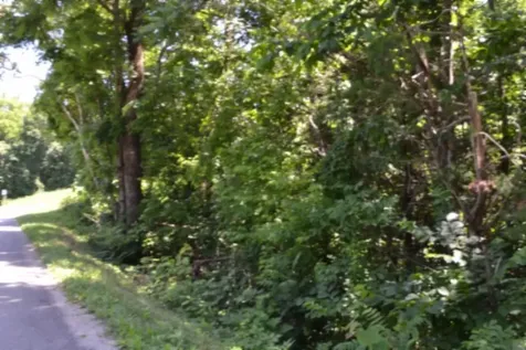 0 Pea Ridge Fire Tower Road Celina TN 38551