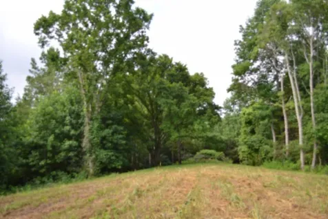 0 Pea Ridge Fire Tower Road Celina TN 38551