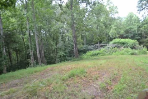 0 Pea Ridge Fire Tower Road Celina TN 38551