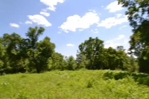 0 Pea Ridge Fire Tower Road Celina TN 38551