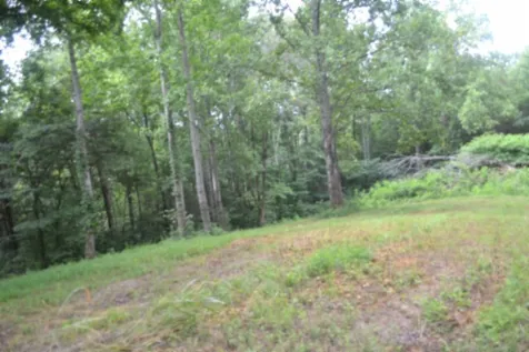 0 Pea Ridge Fire Tower Road Celina TN 38551