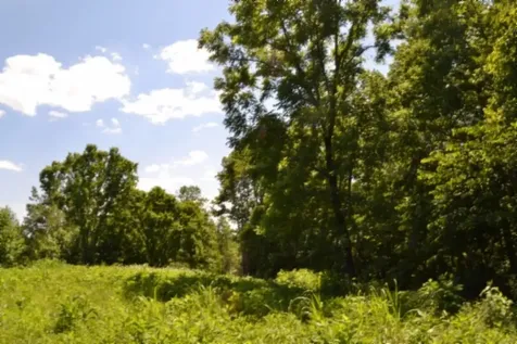 0 Pea Ridge Fire Tower Road Celina TN 38551