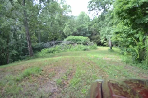 0 Pea Ridge Fire Tower Road Celina TN 38551
