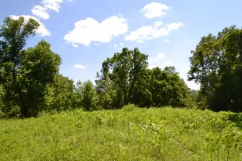 0 Pea Ridge Fire Tower Road Celina TN 38551