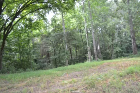 0 Pea Ridge Fire Tower Road Celina TN 38551