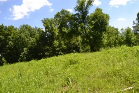 0 Pea Ridge Fire Tower Road Celina TN 38551