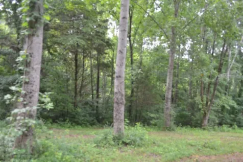 0 Pea Ridge Fire Tower Road Celina TN 38551
