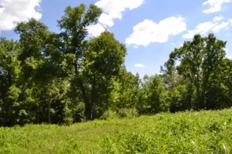 0 Pea Ridge Fire Tower Road Celina TN 38551