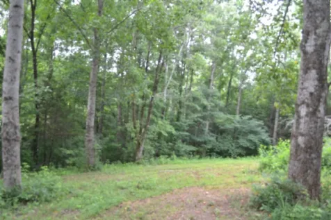 0 Pea Ridge Fire Tower Road Celina TN 38551