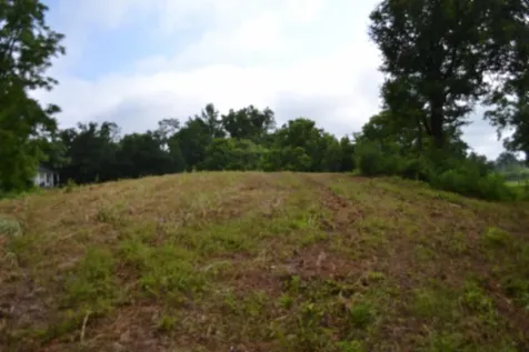 0 Pea Ridge Fire Tower Road Celina TN 38551