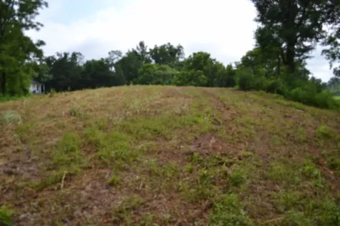 0 Pea Ridge Fire Tower Road Celina TN 38551