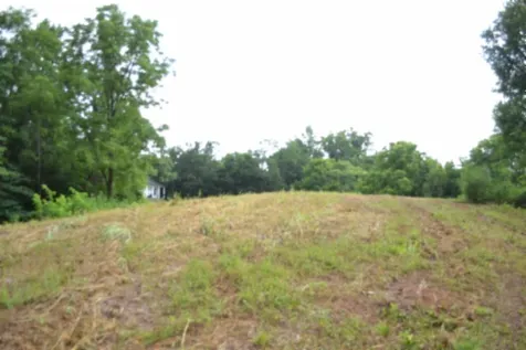 0 Pea Ridge Fire Tower Road Celina TN 38551