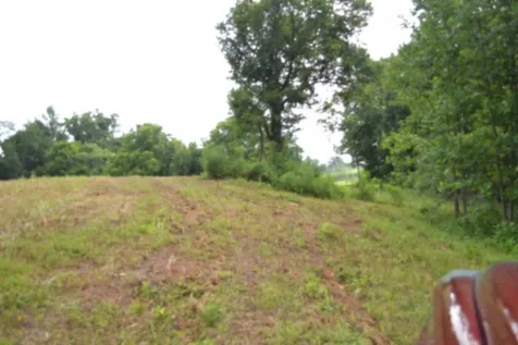 0 Pea Ridge Fire Tower Road Celina TN 38551