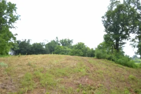 0 Pea Ridge Fire Tower Road Celina TN 38551