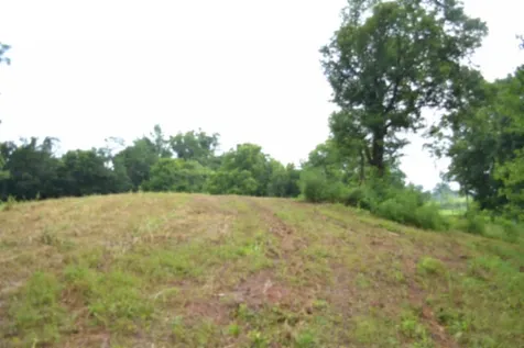 0 Pea Ridge Fire Tower Road Celina TN 38551