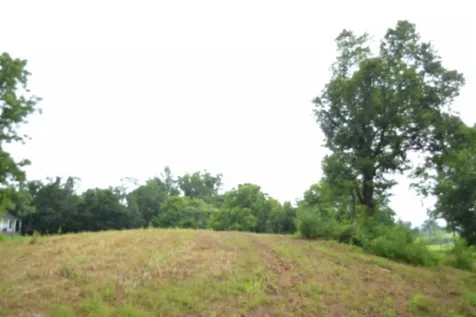0 Pea Ridge Fire Tower Road Celina TN 38551