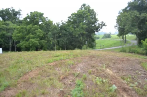 0 Pea Ridge Fire Tower Road Celina TN 38551