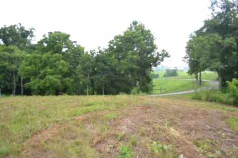 0 Pea Ridge Fire Tower Road Celina TN 38551