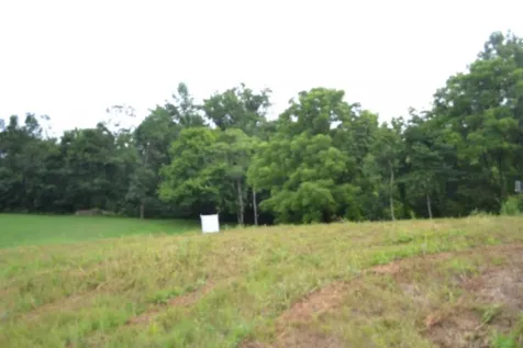 0 Pea Ridge Fire Tower Road Celina TN 38551