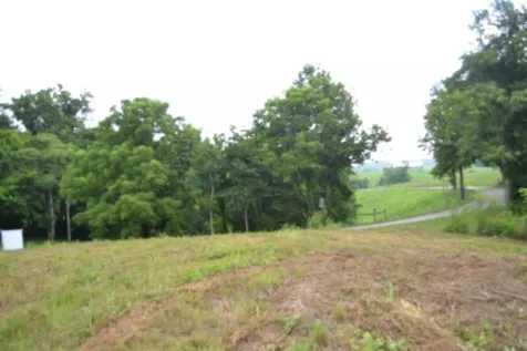 0 Pea Ridge Fire Tower Road Celina TN 38551