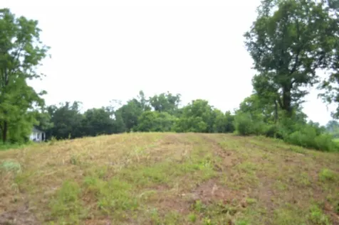 0 Pea Ridge Fire Tower Road Celina TN 38551