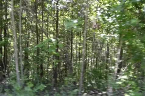 0 Pea Ridge Fire Tower Road Celina TN 38551