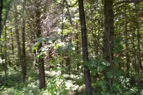 0 Pea Ridge Fire Tower Road Celina TN 38551