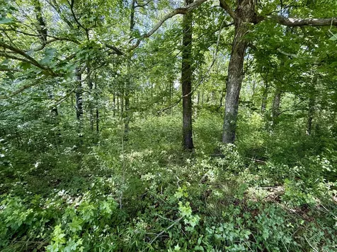 59 Hardin Loop Westpoint TN 38486