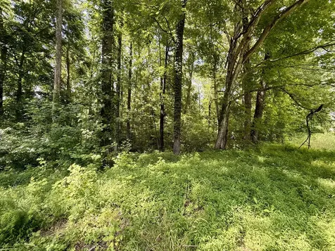 59 Hardin Loop Westpoint TN 38486