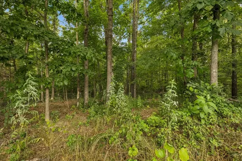 1324 Elliot Road Nunnelly TN 37137