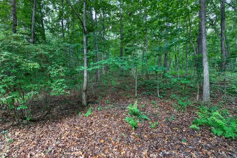 1835 Ridge Cliff Drive Monteagle TN 37356