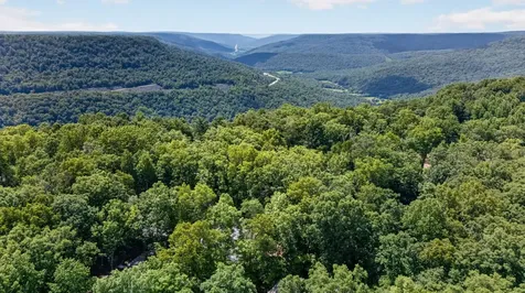 1835 Ridge Cliff Drive Monteagle TN 37356