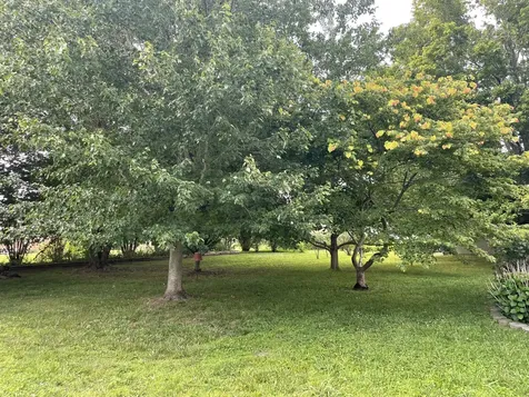 847 Anthony Avenue Smithville TN 37166