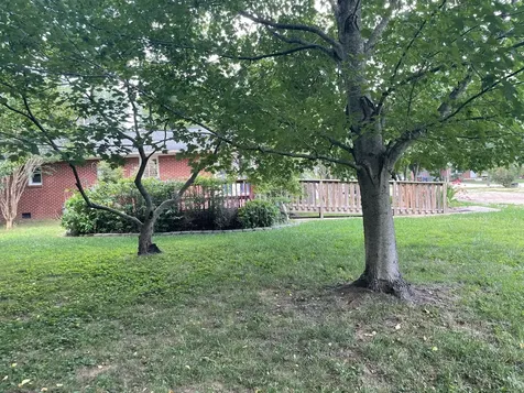 847 Anthony Avenue Smithville TN 37166