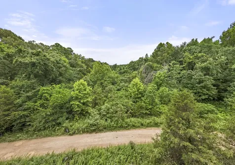 0 Rockhouse Road Linden TN 37096