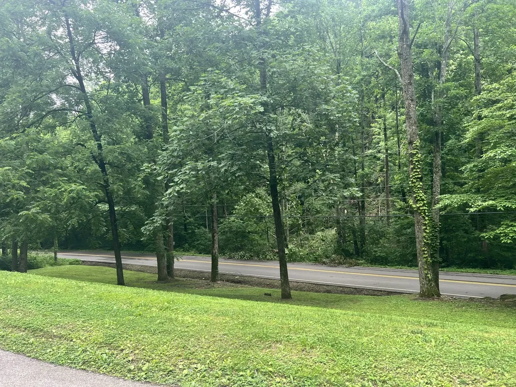 3678 Bear Hollow Road Whites Creek TN 37189