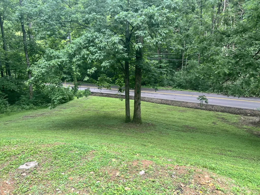3678 Bear Hollow Road Whites Creek TN 37189