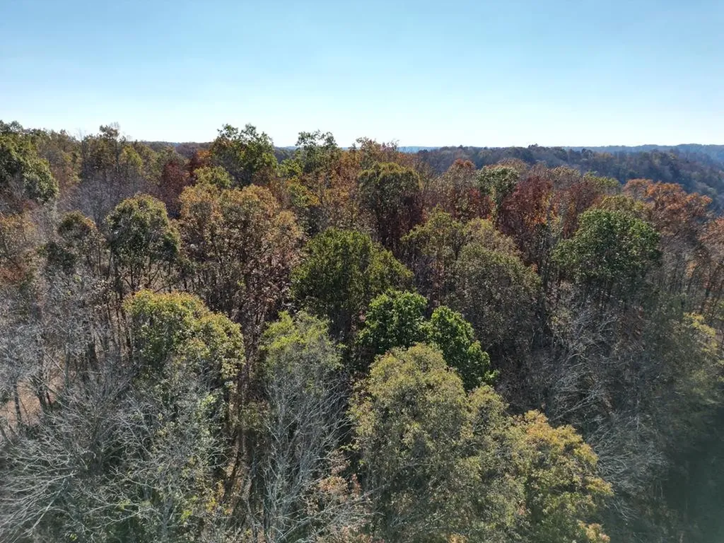0 Old Highway 53 Celina TN 38551