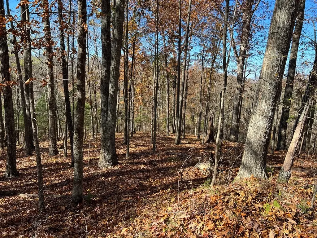 0 Old Highway 53 Celina TN 38551
