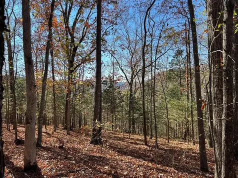 0 Old Highway 53 Celina TN 38551