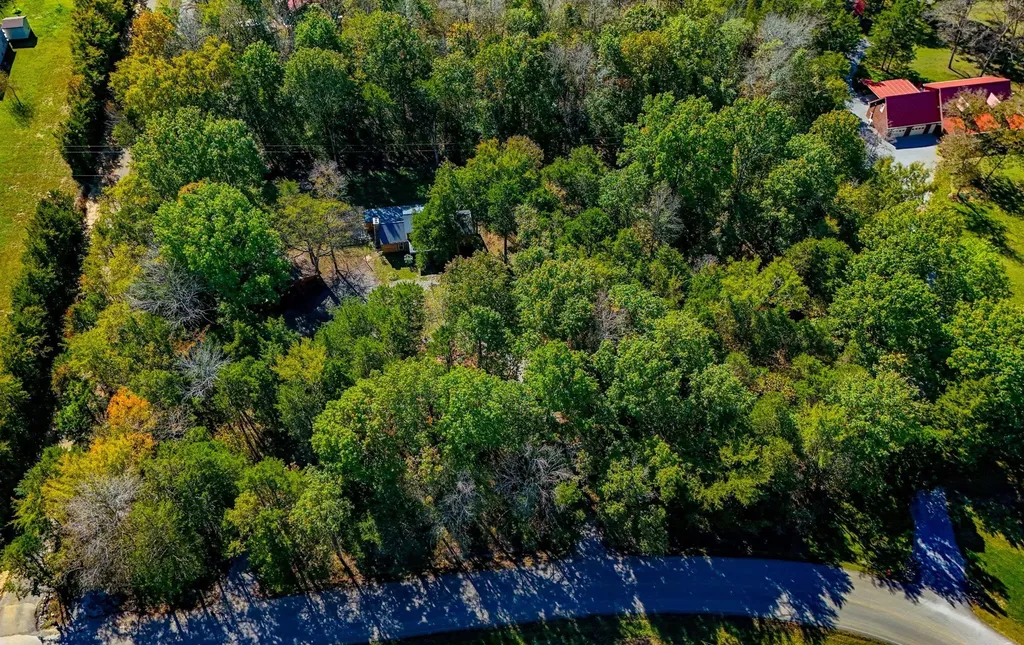 4747 Jones Road Christiana TN 37037