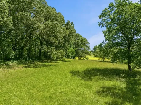 55 Bell Lane Paris TN 38242
