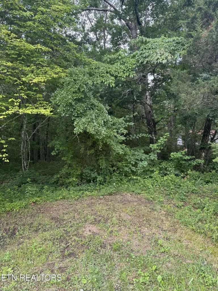 Crossville TN, Timothy Drive