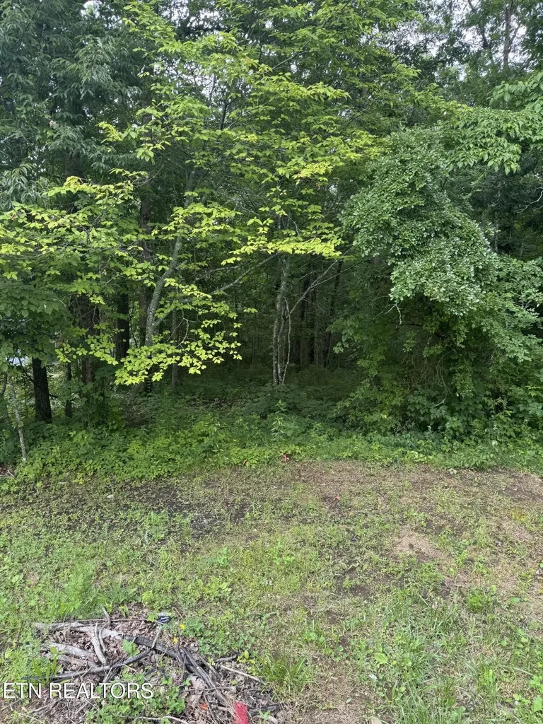 0 Timothy Drive Crossville TN 38572